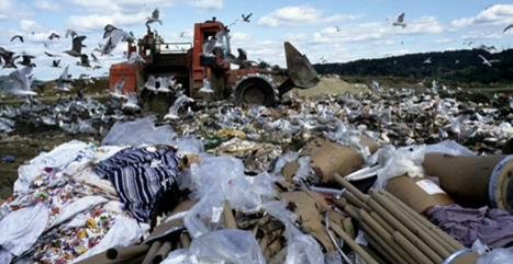 TreeHugger About the Trash in Our Landfills